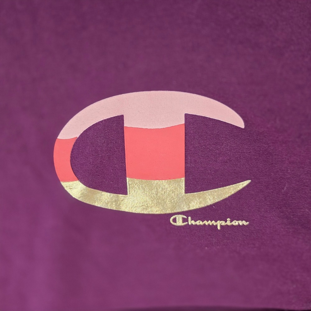 Champion Womens Burgundy Graphic Logo Hoodie Sweatshirt GF536 L - Picture 2 of 6
